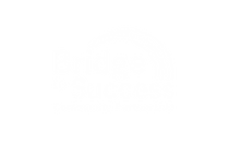 Bridge to Success